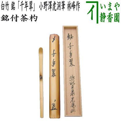 【茶器/茶道具　銘付茶杓】　白竹　銘「千年翠」　小野澤虎洞筆　林峰作