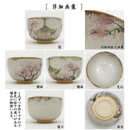 【茶器/茶道具　抹茶茶碗】　乾山写し　仁和寺に舞う桜　森下秋彩作