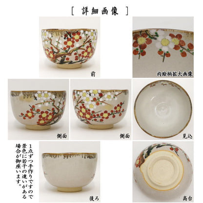 【茶器/茶道具　抹茶茶碗】　乾山写し　紅白梅　森下秋彩作