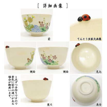 〇【茶器/茶道具　抹茶茶碗】　春草にてんとう虫　東山深山作