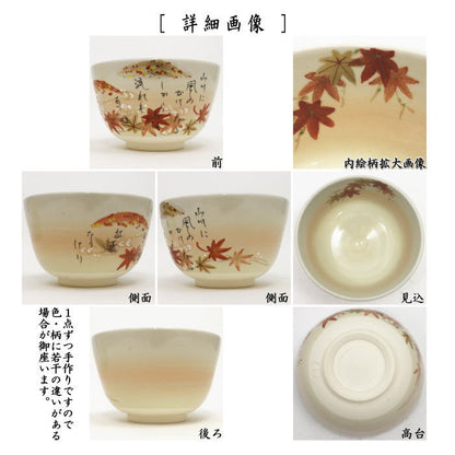 【茶器/茶道具　抹茶茶碗】　色絵茶碗　山川に～　川上真琴作　小倉百人一首　春道列樹の和歌